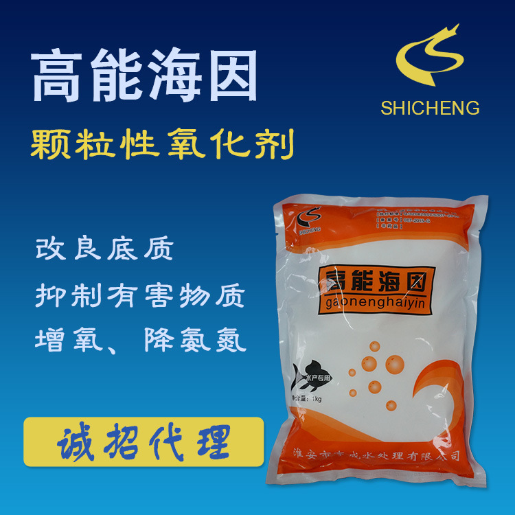 4616329437_121315501.jpg 4616329437_121315501.jpg